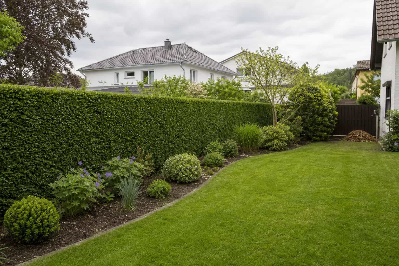 Gepflegter Privatgarten mit geschnittener Hecke und sauberem Rasen