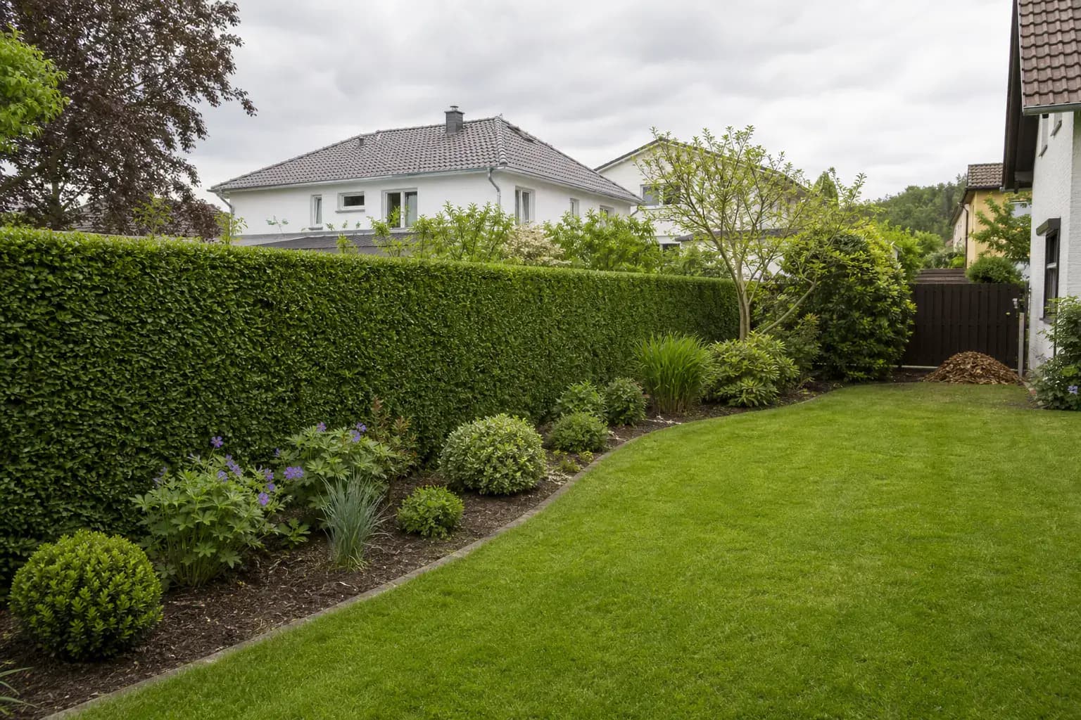 Gepflegter Privatgarten mit geschnittener Hecke und sauberem Rasen